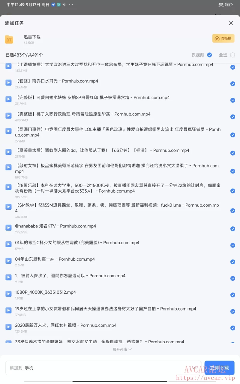 Screenshot_2023-09-17-12-49-03-940_com.xunlei.downloadprovider.jpg