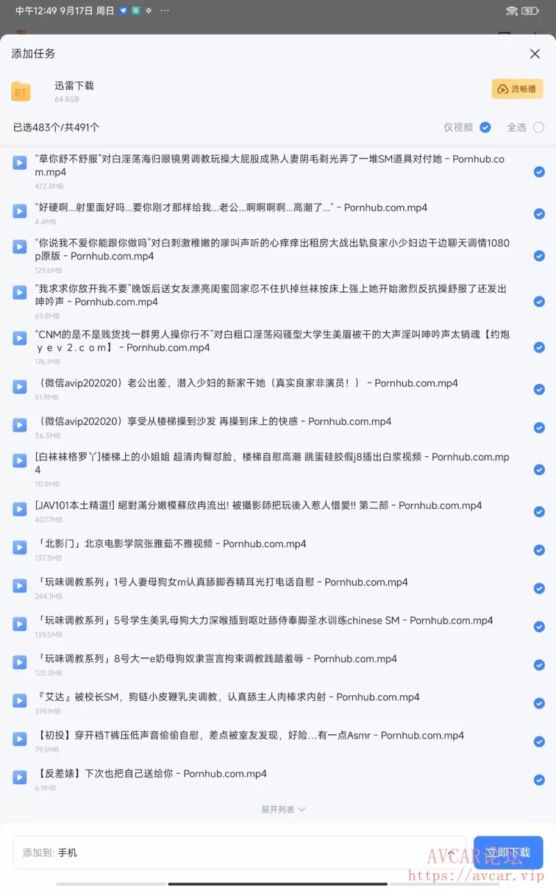 Screenshot_2023-09-17-12-49-01-603_com.xunlei.downloadprovider.jpg