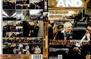 DANDY-071 略Ȳ𤵤INTERNATIONALCAҊĤ뤫 VOL.1