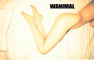 WANIMAL 20168[108P] ʥ part1