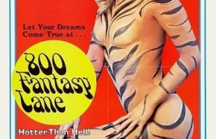 800λ800 Fantasy Lane